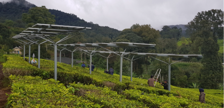 KJC_SSP架台_6茶畑