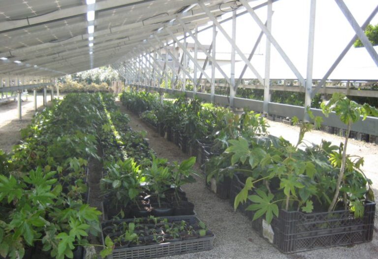 KJC_福岡県_太陽光発電+苗木